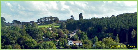 A photo of Bream village looking across the oakwood valley.