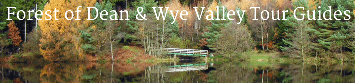 Forest of Dean and Wye Valley Tour Guides