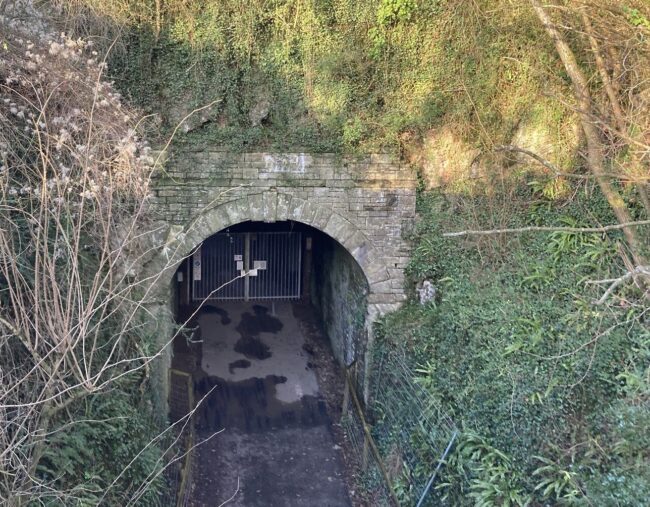 A photo of the entrance to the Tidenham tunnel